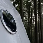 ホテル Baumhaushotel Robins Nest ヴィッツェンハウゼン