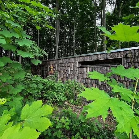 酒店 Baumhaushotel Robins Nest