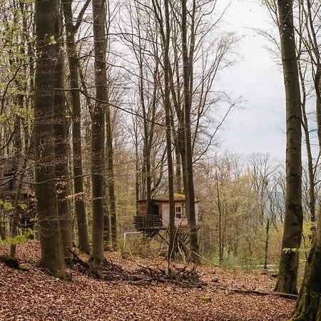 酒店 Baumhaushotel Robins Nest *