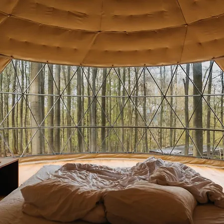 Baumhaushotel Robins Nest *