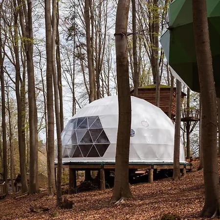 Baumhaushotel Robins Nest