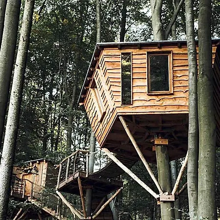 Baumhaushotel Robins Nest Hotel Witzenhausen