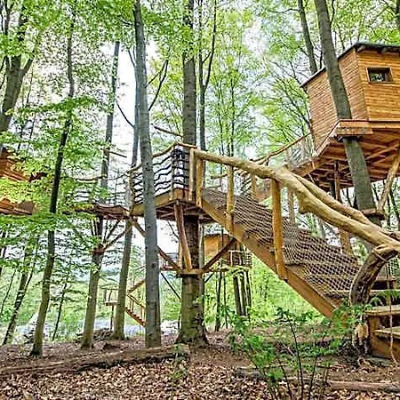 Baumhaushotel Robins Nest Hotel Witzenhausen