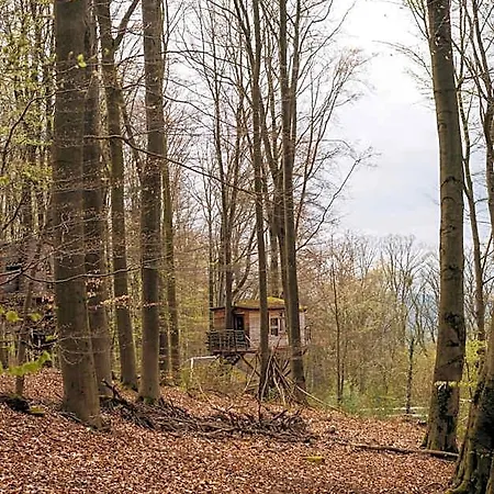 Baumhaushotel Robins Nest Witzenhausen