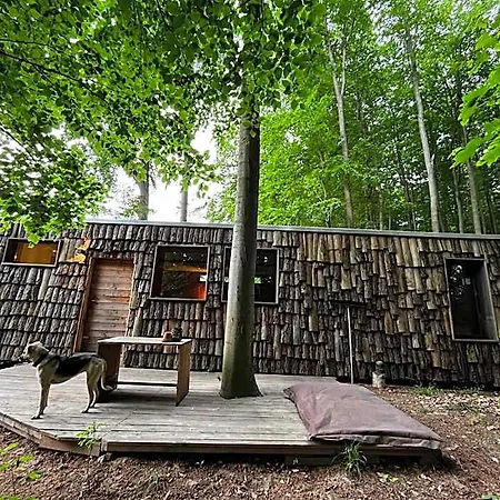 Baumhaushotel Robins Nest * Witzenhausen