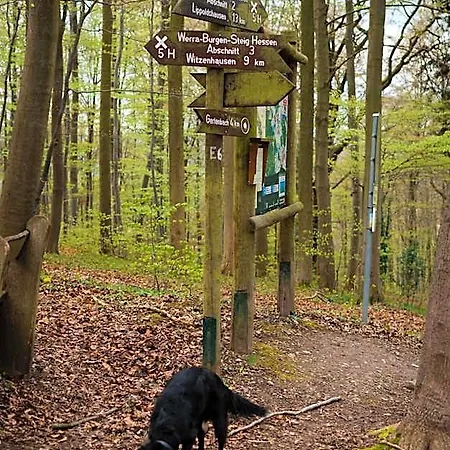 Baumhaushotel Robins Nest *