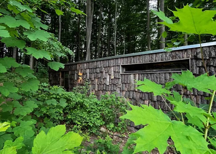 Szálloda Baumhaushotel Robins Nest