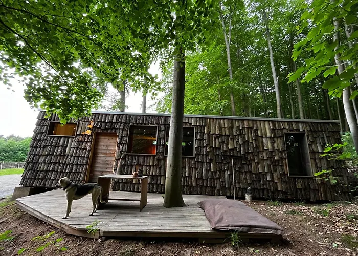 Szálloda Baumhaushotel Robins Nest *