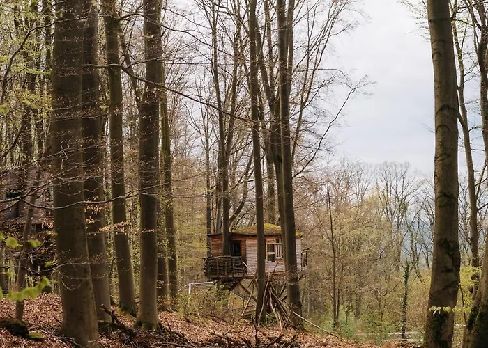 Szálloda Baumhaushotel Robins Nest *