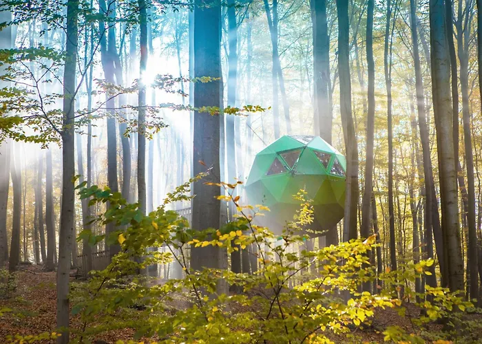 Szálloda Baumhaushotel Robins Nest *