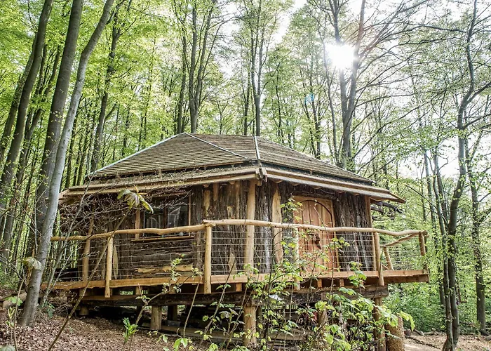 Szálloda Baumhaushotel Robins Nest Witzenhausen